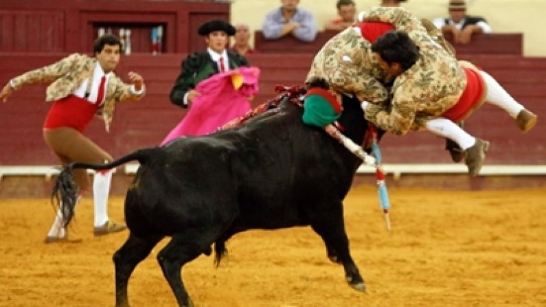 Campo Pequeno, The Portuguese bullfight is a truly unique experience