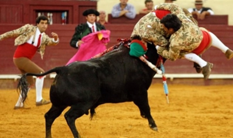 Campo Pequeno, The Portuguese bullfight is a truly unique experience Campo Pequeno, The Portuguese bullfight is a truly unique experience